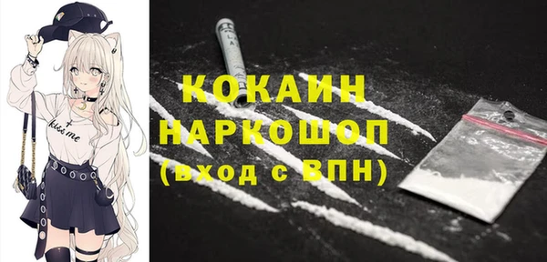 дживик Анива