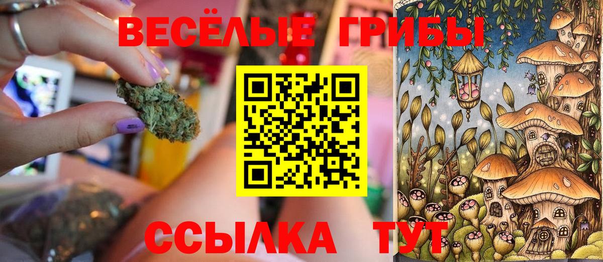 Галлюциногенные грибы Magic Shrooms  Вход с VPN  Лениногорск 